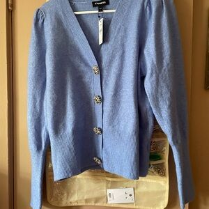 Express Bling sweater